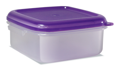 CONTENEDOR CUADRADO GRANDE