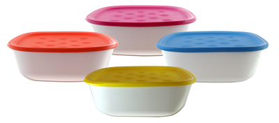 CONSERVADOR GRANDE PREMIUM 2.95L